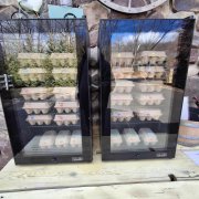 Happy Hens, Healthy Eggs, Happy Families.